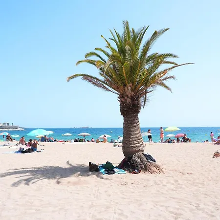 Campingplads Comfortabel Met 3 Slaapkamers Op Lei Suves - Misuuf 518 Roquebrune-sur-Argens